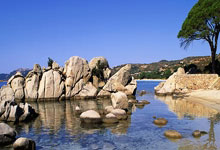 开云体育平台 -包含里程碑夜！迈阿密热火战术微调，NBA总决赛加时末段刷纪录，目标明确，资深球员宣示担当的词条